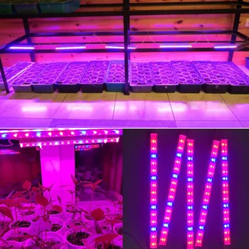 6W 12W 18W 24W 30W Led Grow Light T5 Vamzdis Patalpų Augalų daržovių auginimo Lempos augalams Gėlių Hydroponic sistema ES MUMS plug