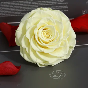 9-10cm 1pcs Didžiulis Konservuoti Gėlių Rose Dėžutė Šviežių Natūralių Džiovintų Gėlių Galvos Dovana Medžiagų galvos apdangalas Newyear Vestuvių Namų Decora