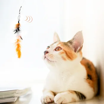 12Pcs Katė Interaktyvūs Žaislai Stick Plunksnų Lazdele su Mažais Bell Plastiko Dirbtinius Spalvinga Pet Kibinimas Žaislas Augintiniai Prekes