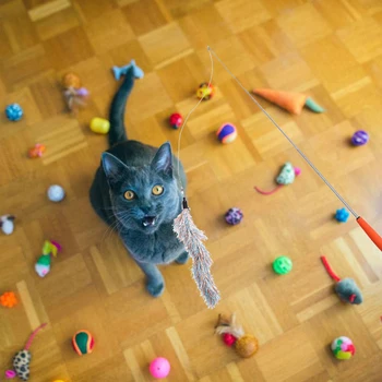 Teleskopinis Katė Plunksnų Žaislas Augintiniui Interaktyvus Kibinimas Žaislas With5 Pakeitimo Galvos Cat Stick Žaislas Katė Žaislų Rinkinys Augintiniai Mokymo Žaislai 2021