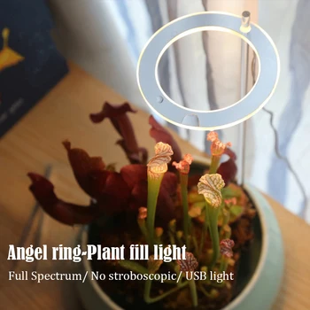 LED Augalų Auginimo Lempos viso Spektro Šviesa Kambarinių Augalų Šiltnamio Gėlės Žiedas, Šviesos, Baltos spalvos Augmenijos Sėjinukų Augimo Šviesos