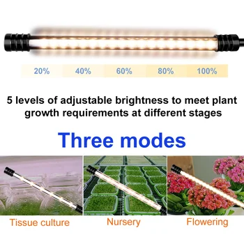 5V Phytolamp Augalams LED Grow Light USB Visą Spektrą Valdymo Augalai, Sodinukai, Gėlių viduje Auga Palapinę Lauke Lempos Šiltnamio efektą sukeliančių