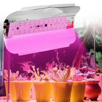 LED Grow Light Visą Spektrą 50W 100W Fito Potvynių Žiburiai, Lauko LED Auginimo Phytolamp Daržovių, Gėlių Sodinukai