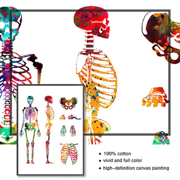 Medicinos Mokslo Office Picture plakatai, drobė, tapyba Žmogaus Anatomija Raumenų Sistemos Menas Spausdinti Akvarelė Žmogaus Paveikslas, Tapyba