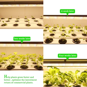 5vnt/daug 60cm T8 LED Vamzdžių Augti Šviesos Barai Šiltas Visą Spektrą Augalų Lempa hydroponics sodinukai vegs žalumynai auga palapinė