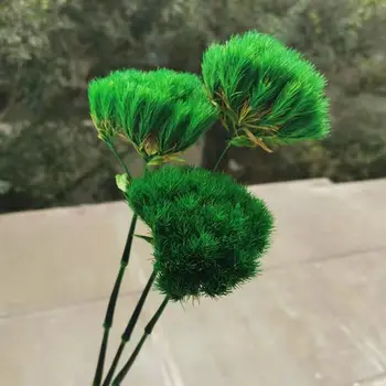 3pcs/35cm,Gamtos Konservuoti gėlių Puokštė,Nemirtingi Žalia žolė kamuolys Gėlių kompozicijų Vestuves Namų Dekoro priedai